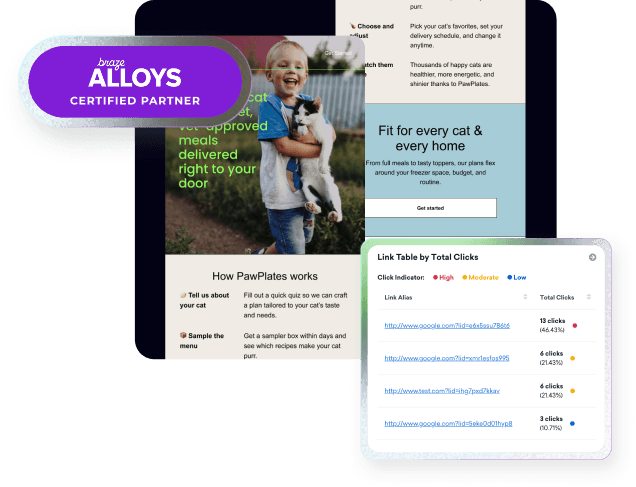Braze email marketing with Mavlers
