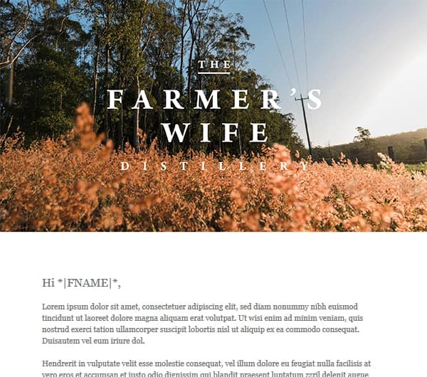 Email template design 2