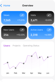 Lifecycle Strategy & Optimization Preview