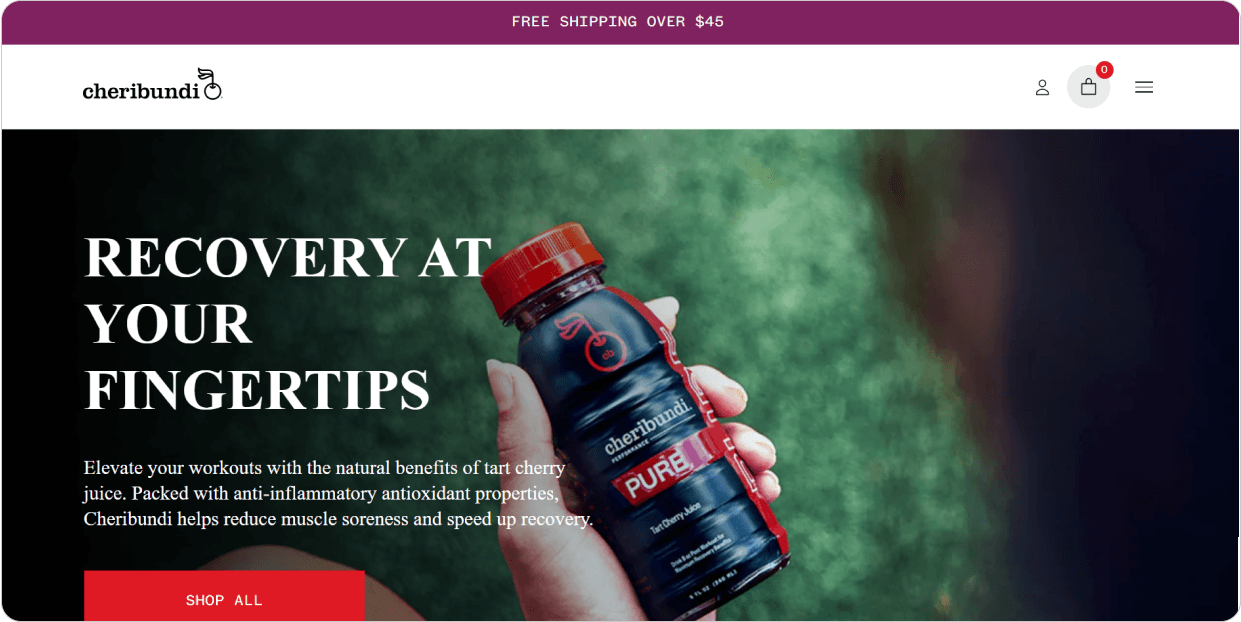 Latest Shopify Website 3