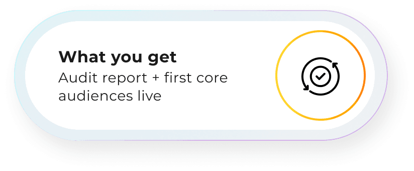 What you get: Audit report + first core audiences live