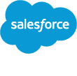 Salesforce badge