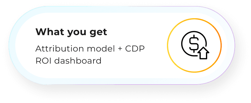 What you get: Attribution model + CDP ROI dashboard
