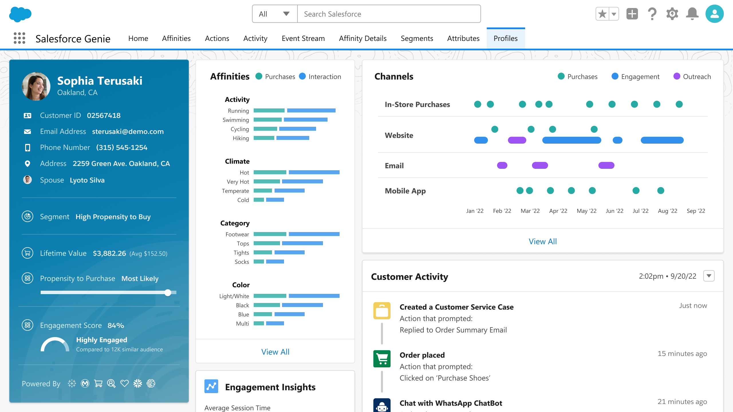 Salesforce unified customer profile interface