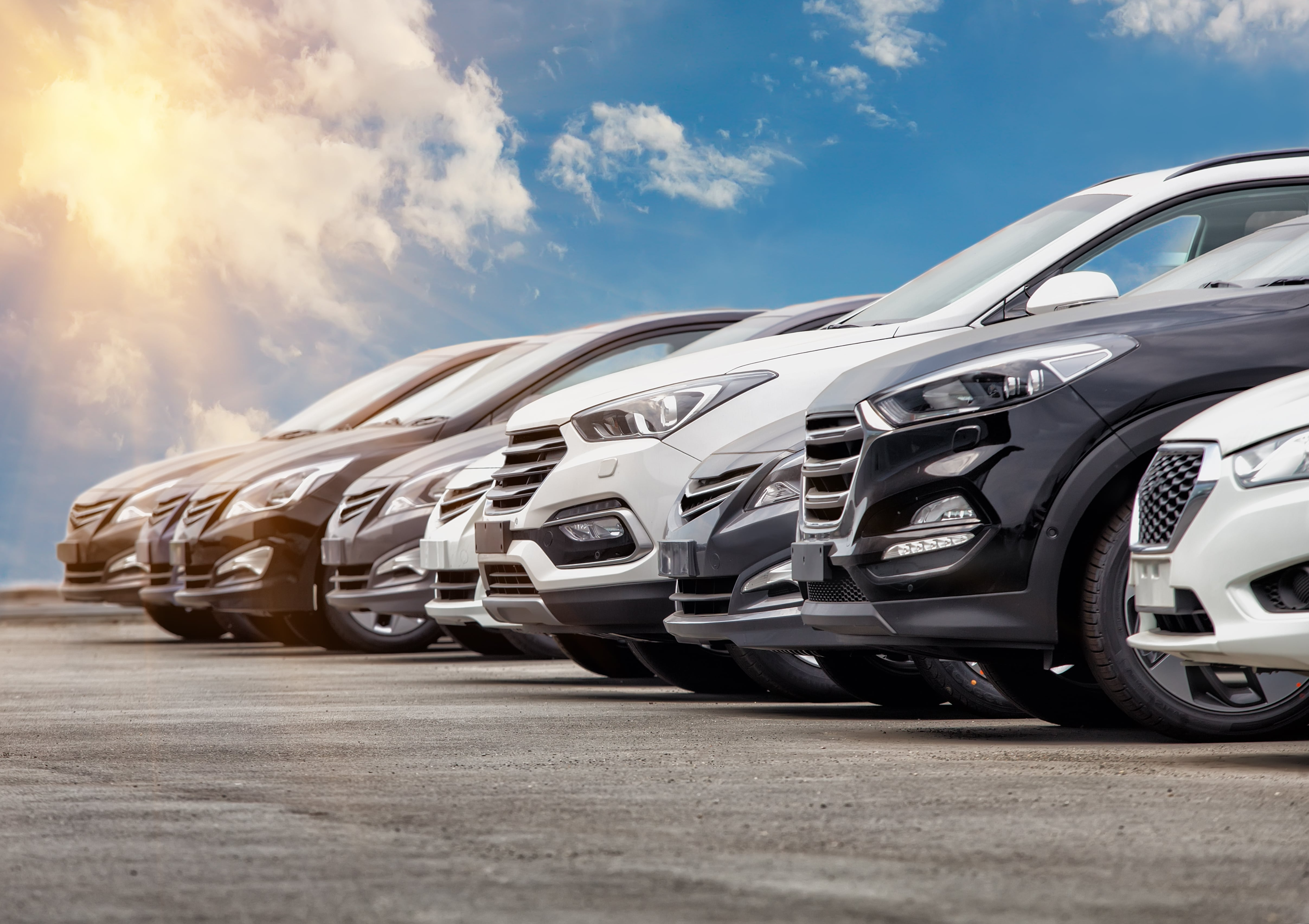 Automotive showroom with vehicles on display