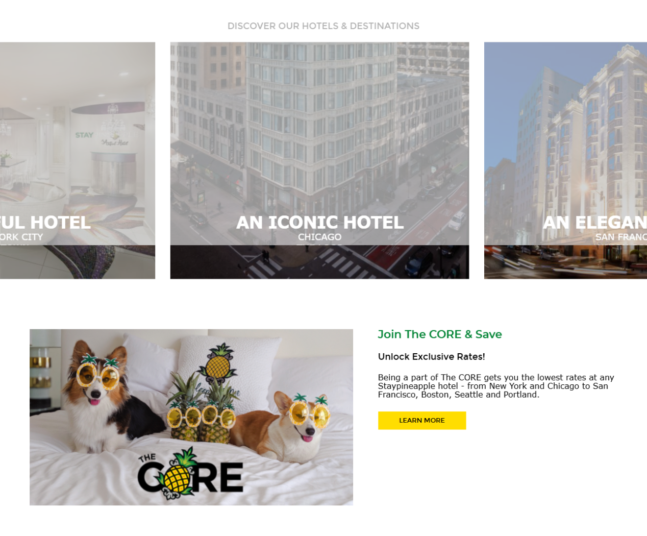 Staypineapple website booking experience