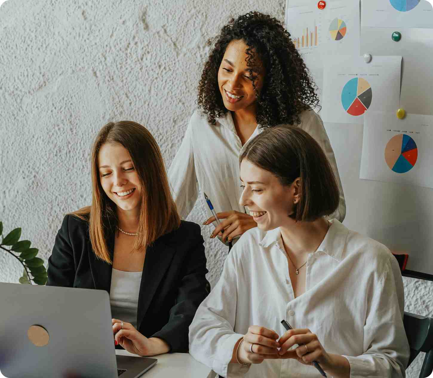 CMS Development Services