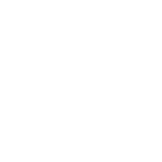 Ensemble consulting