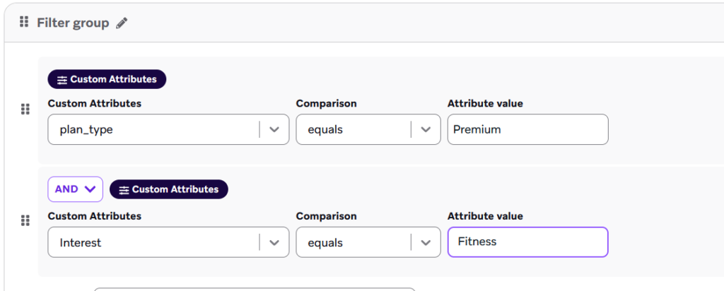Segment filters in braze